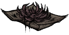 Chrysanthemum Petals