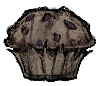 Berry Muffin