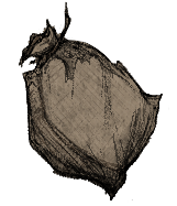 Flowerveiled Compost