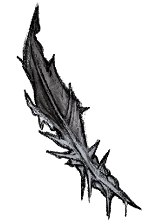 Frozen Feather