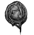 Melted Coin