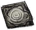 Moonbranch Canvas
