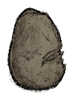 Potato