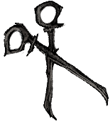 Surgical Scissors