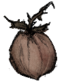 Thornleaf Peach